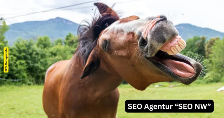 SEO Agentur - Marketing